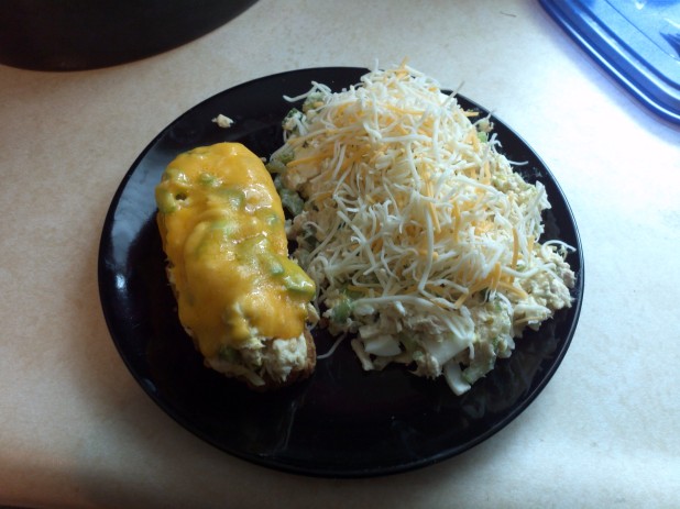 Tuna Salad on Peanut Butter Bread and Cheesed