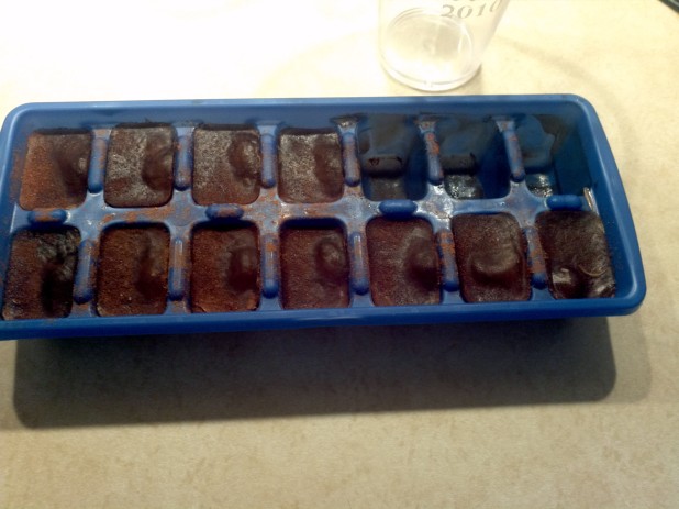 Finished Coffee Ice Cubes