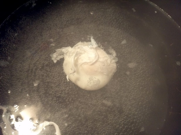 Poached Egg