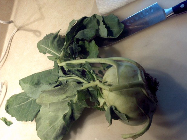 Kohlrabi