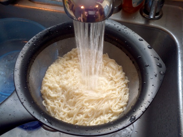 Shirataki Noodles