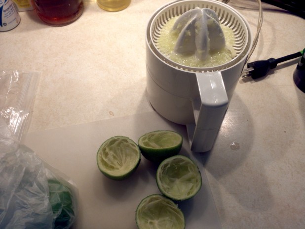 Citrus Juicer