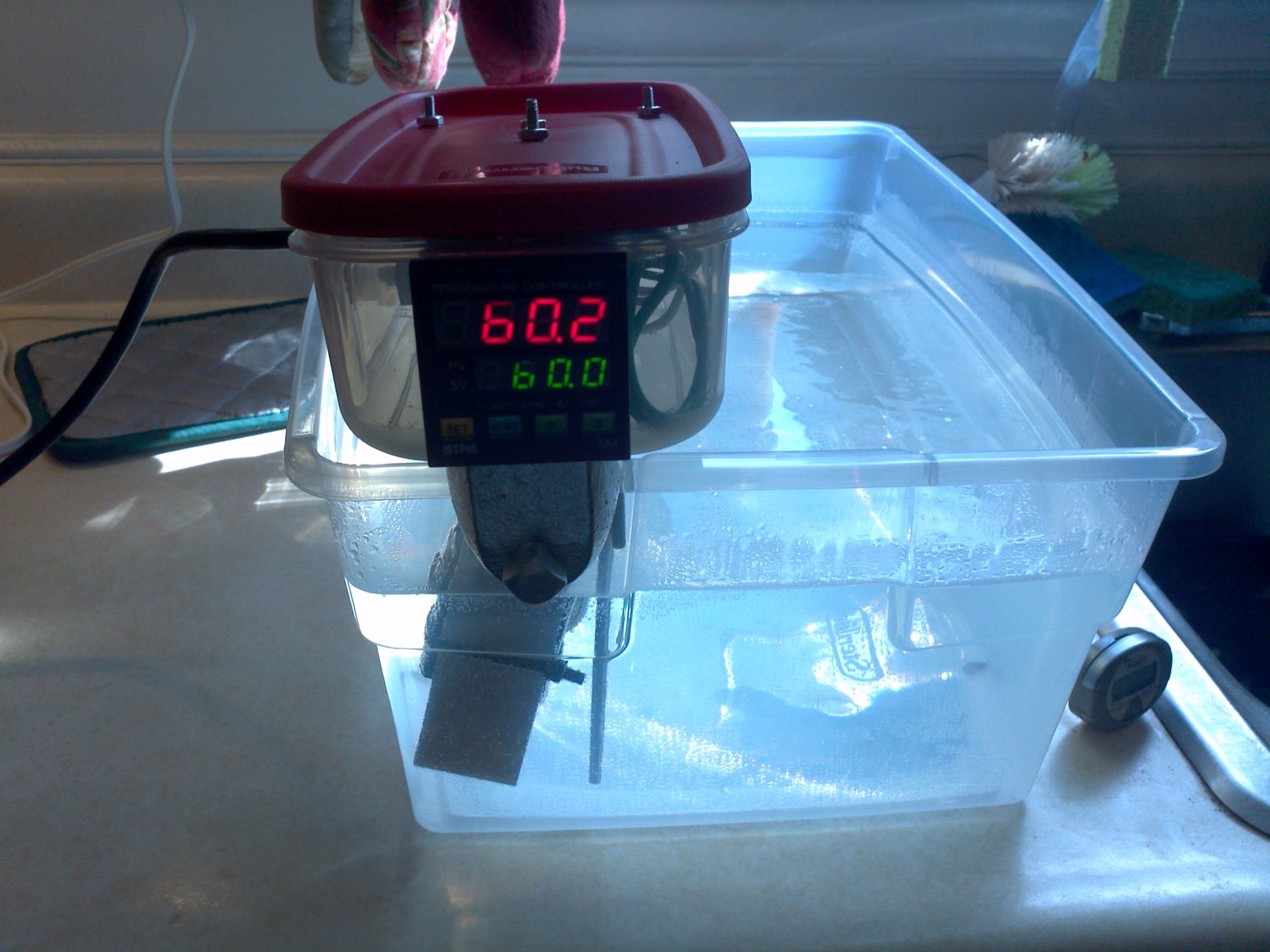 COCOON STEAMER, MACHINES SOUS VIDE