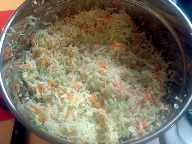 Carrots in Cabbage