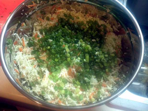 Slaw with green onions