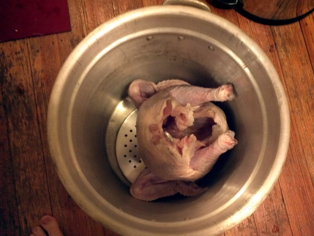 Turkey in pot
