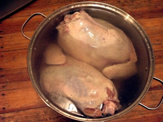 Turkey's Brining