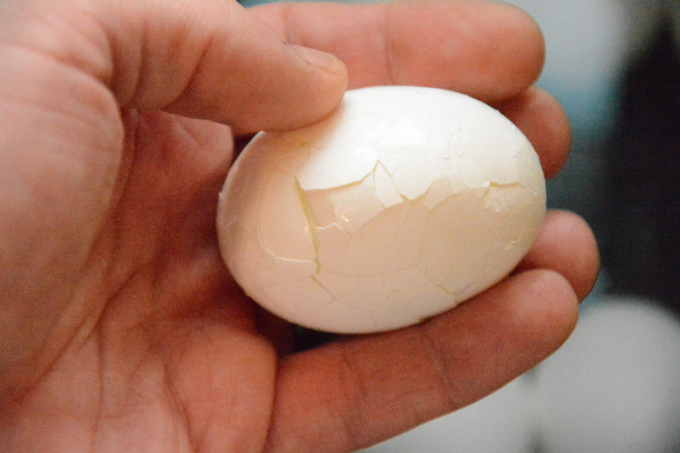 Cracking egg shell