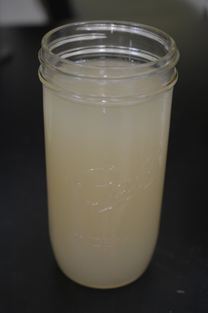 Rendered Leaf Lard in Mason Jar