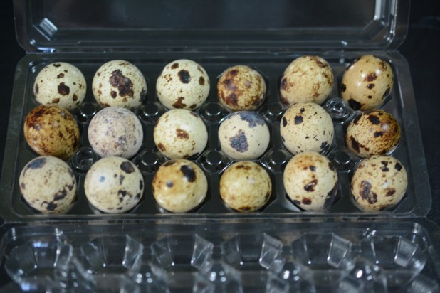 Quail Eggs