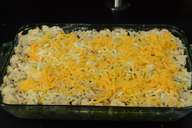 Casserole in Dish with Cheese