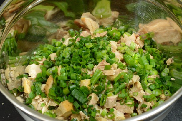 Chicken and Green Onions