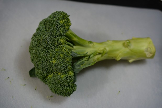 Head of Broccoli