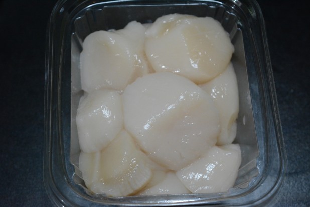 Scallops